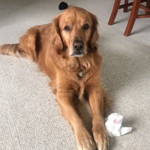 Meet your Posher, Karen